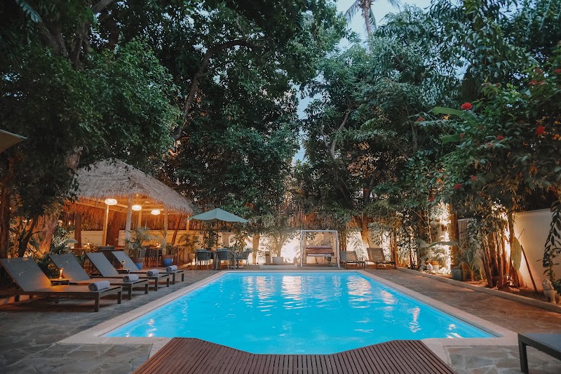 Jungle Addition Hotel
