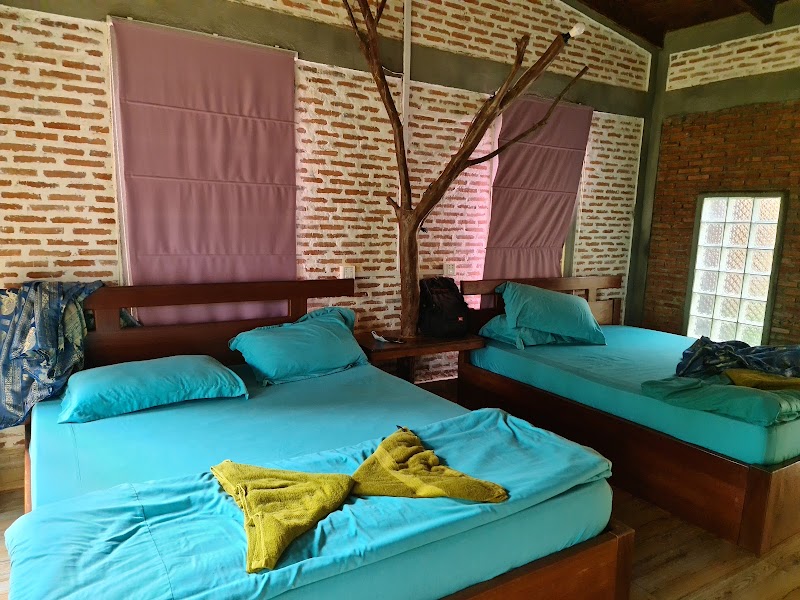 Nature Lodge Resort