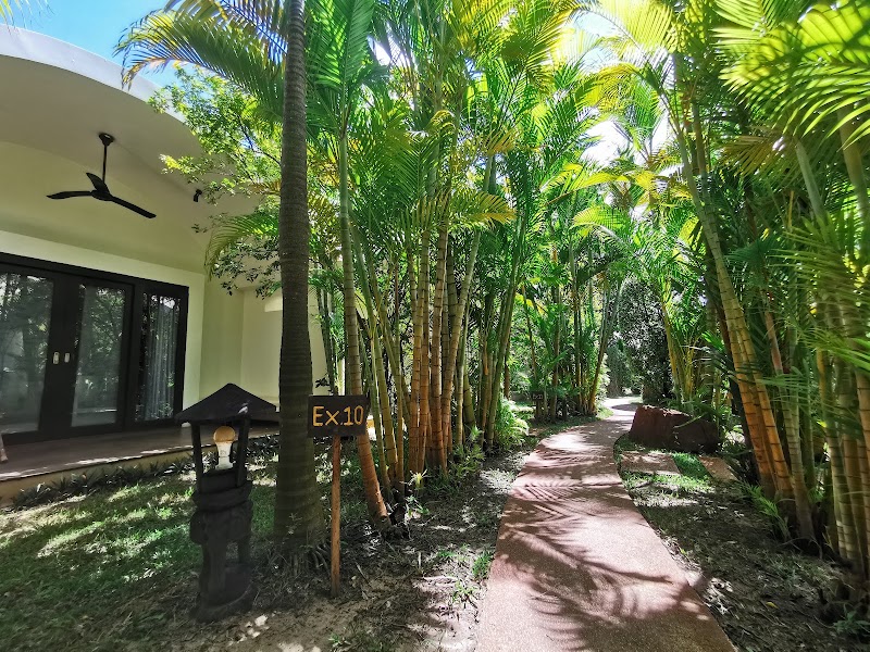 Navutu Dreams Resort & Wellness Retreat