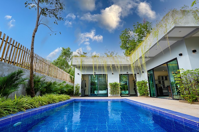 Rainforest Hotel by NSUN