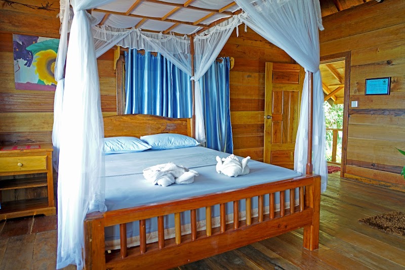 Tree House Bungalows