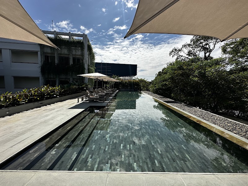Treeline Urban Resort