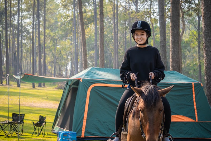 vKirirom Pine Resort