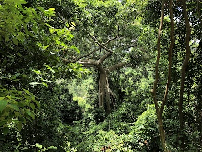 Kep National Park