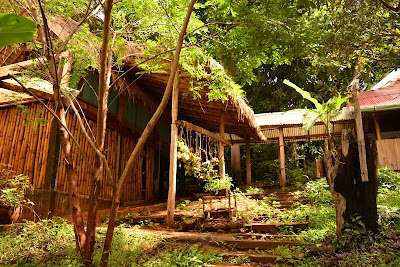 ELIE & The Elephant Valley Project