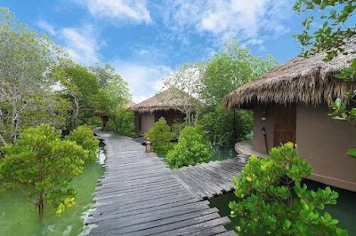 រីសតកំពតទឹកប្រៃ Resilience Resort 368