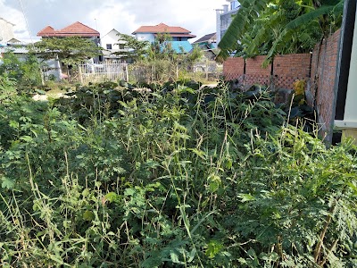 Malis Rout Guesthouse