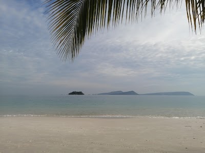 Ocean Breeze