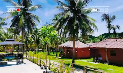 Coconut Beach Bungalows
