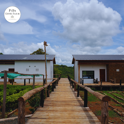 PIDA COFFEE FARM