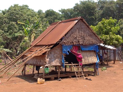 Reggae bar homestay& Jungle trekking