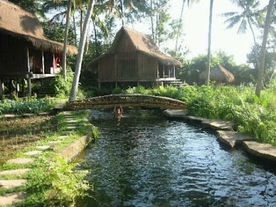 Liv Hov Guest House