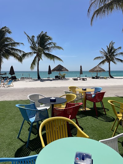 Golden Beach Surf Club