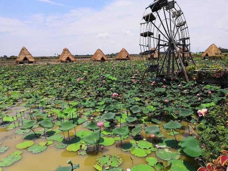 Lotus Silk Farm — Sights, Siem Reap