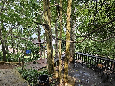 Zipline Cafe