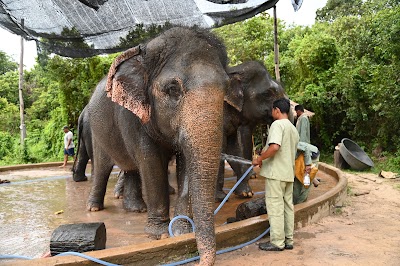 Kulen Elephant Forest