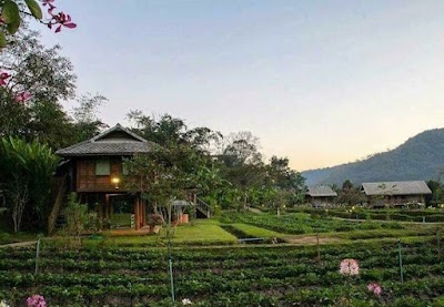 Liv Hov Guest House