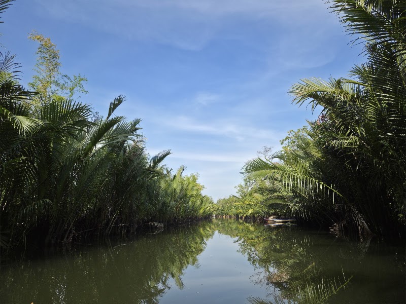 Green Cathedral — Sights, Kampot