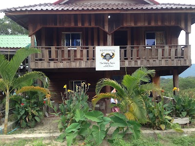 The Sleeping Buffalo Hostel