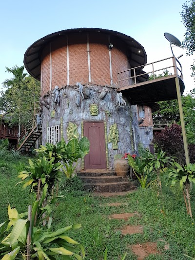 Angkor Forest