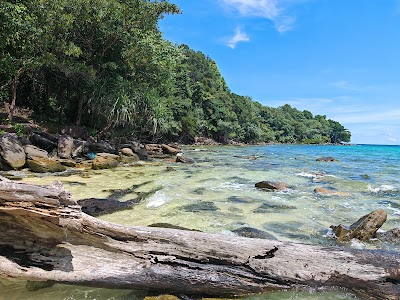 Coconut Beach