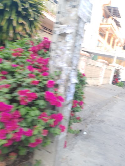 ផ្ទះសំណាក ស្រែខុំ