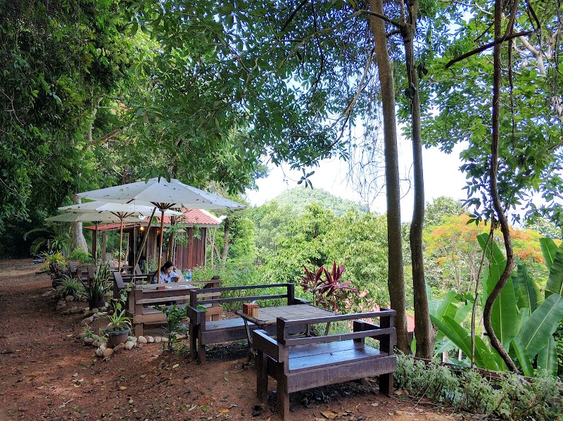 Led Zep Cafe កាហ្វេលើភ្នំ