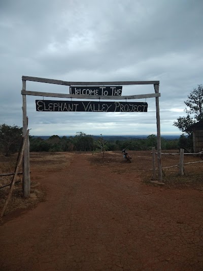 ELIE & The Elephant Valley Project