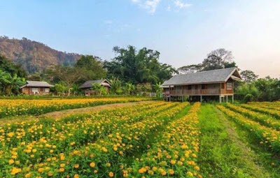 Liv Hov Guest House