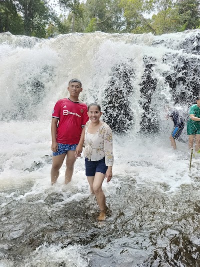 Kulen Elephant Forest