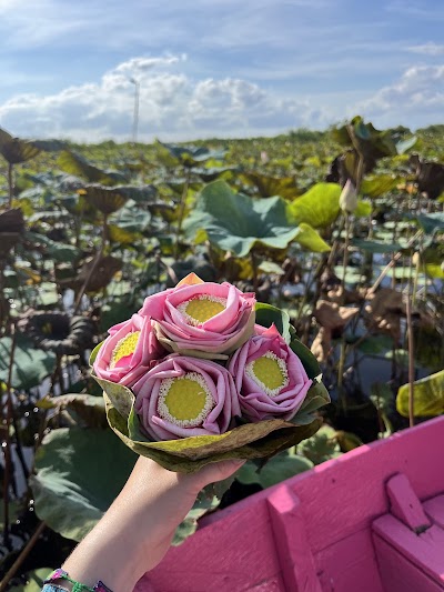 Lotus Silk Farm