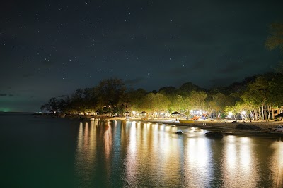 Tree House Bungalows