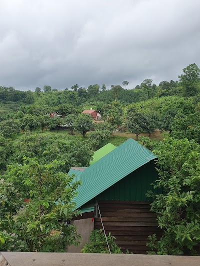 Banlung Mountain View Treks & Tours