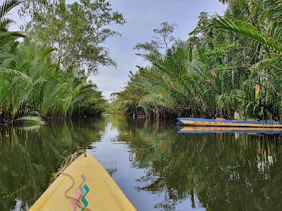 Green Cathedral
