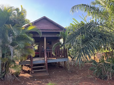 Tree Trails Homestay & Offers Jungle Trekk-Scooters For Rental