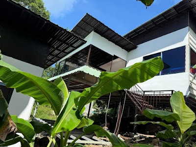 Real Hostel