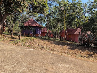 Angkor Forest