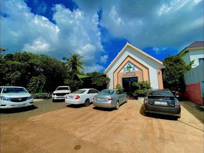 បុសចេកព្រៃ កាហ្វេ