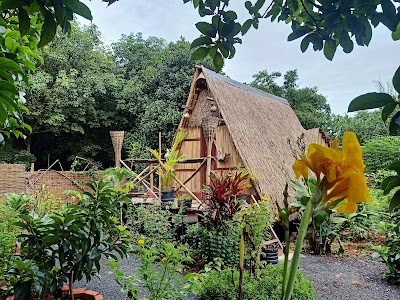 tribal village home stay