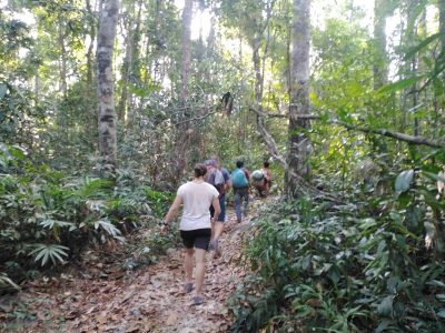 Reggae bar homestay& Jungle trekking