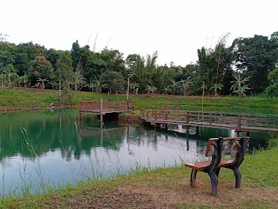 Angkor Forest