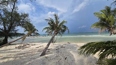 Coconut Beach