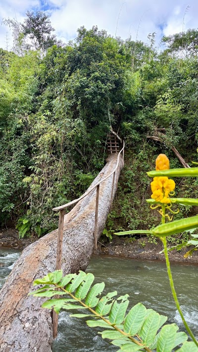 Damrey So Garden home stay