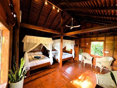 Moon & Shama - Vegan Homestay