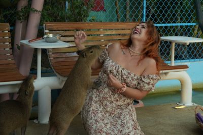 Casa de Capybara Resort & Cafe