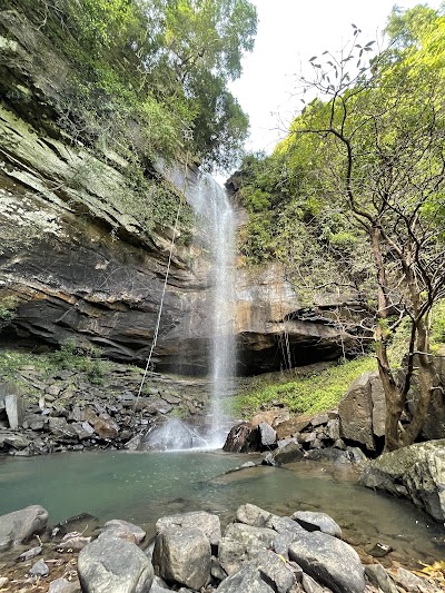 Veal Pouch Waterfall