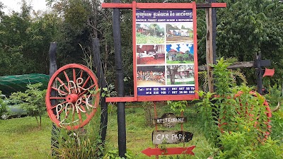 Angkor Forest