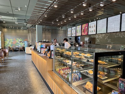 Starbucks Cafe