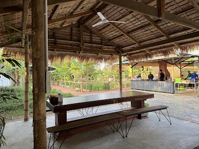 មីលាក់ខ្លួន កូនដំរី