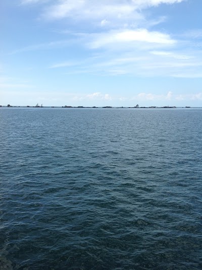 Pier 52